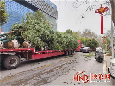 南阳市卧龙区梅溪街道:种植增新绿 人居环境展新颜